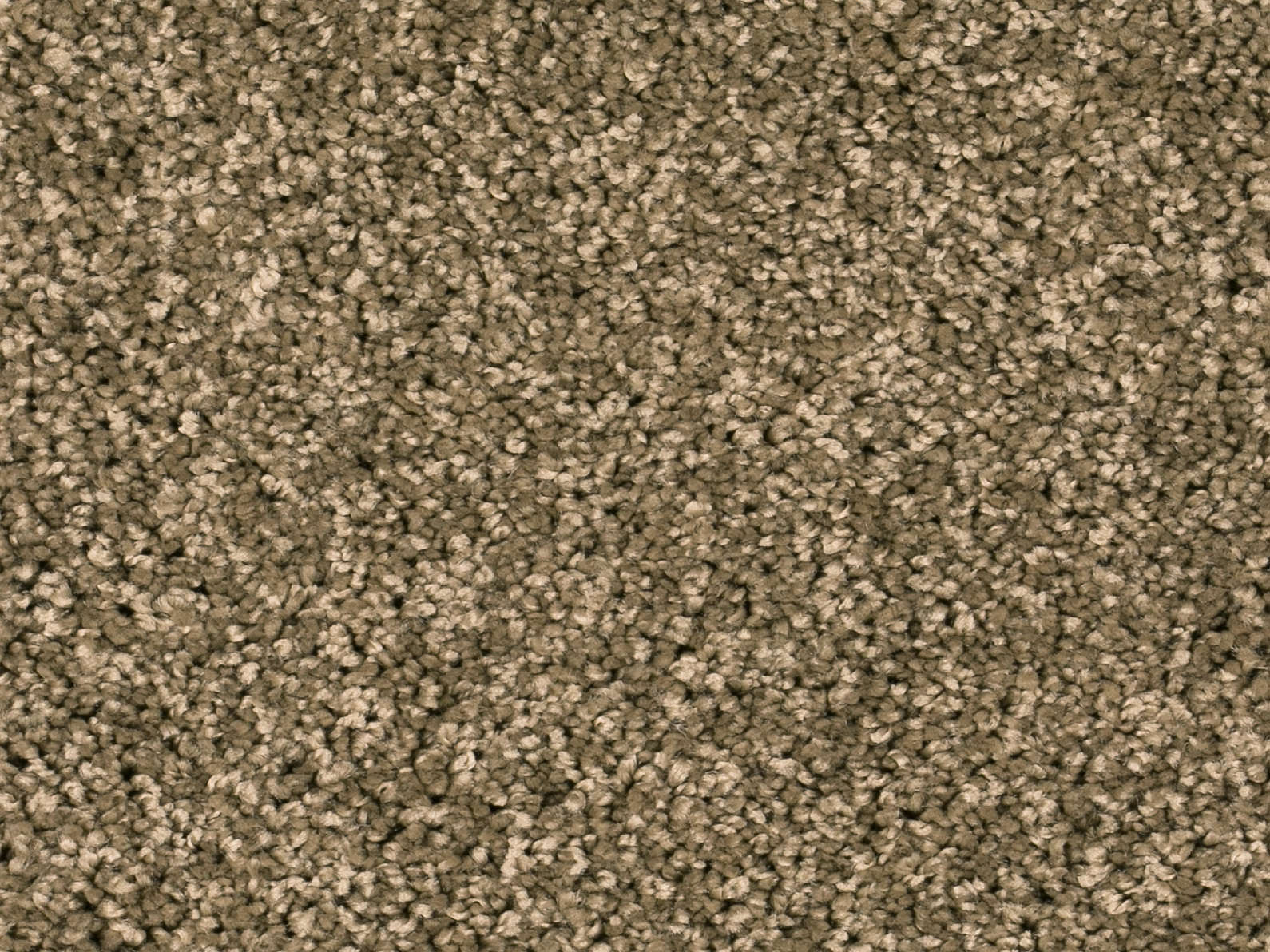 Vallora Teppichboden Farbe 40