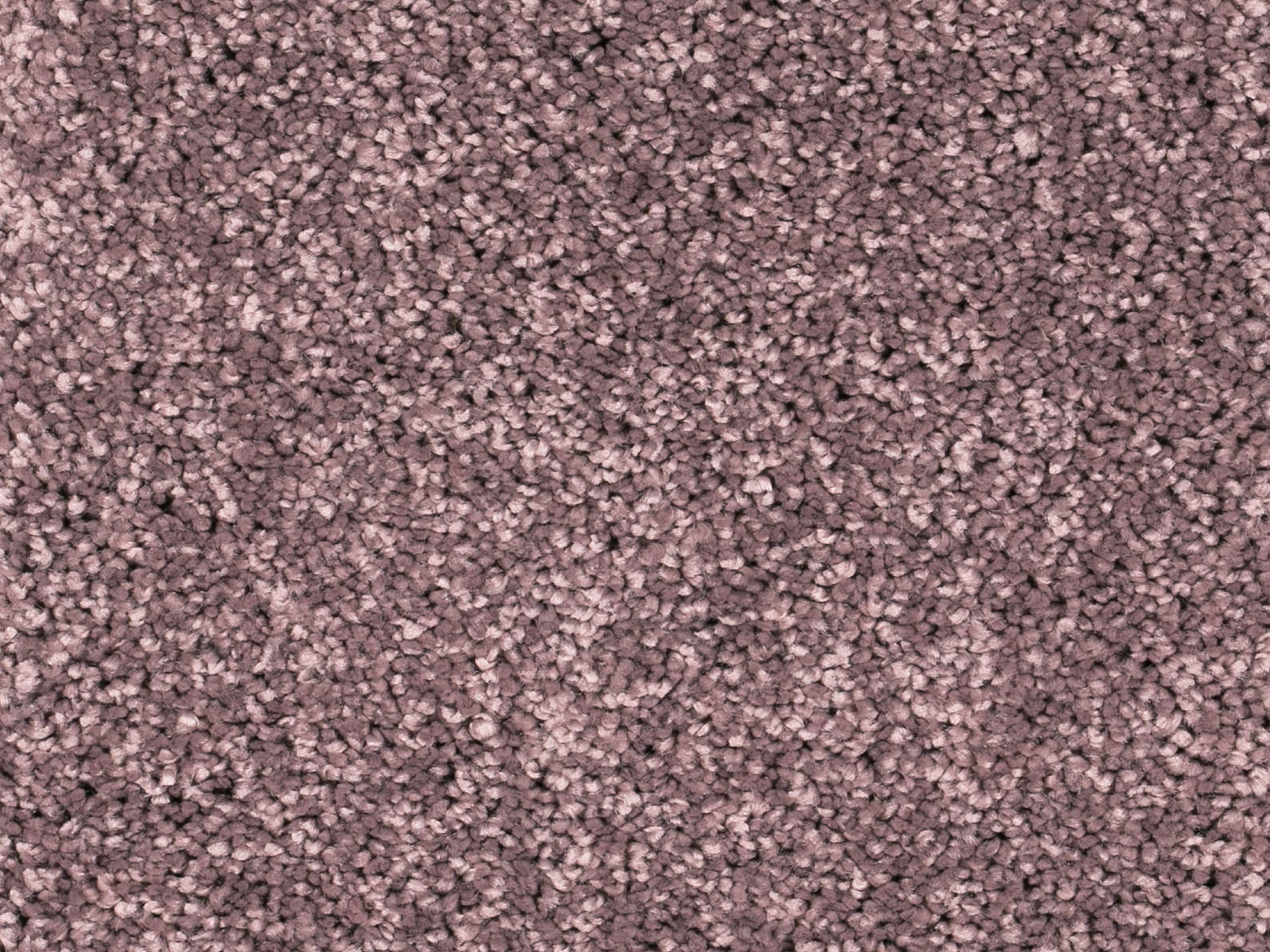 Vallora Teppichboden Farbe 15