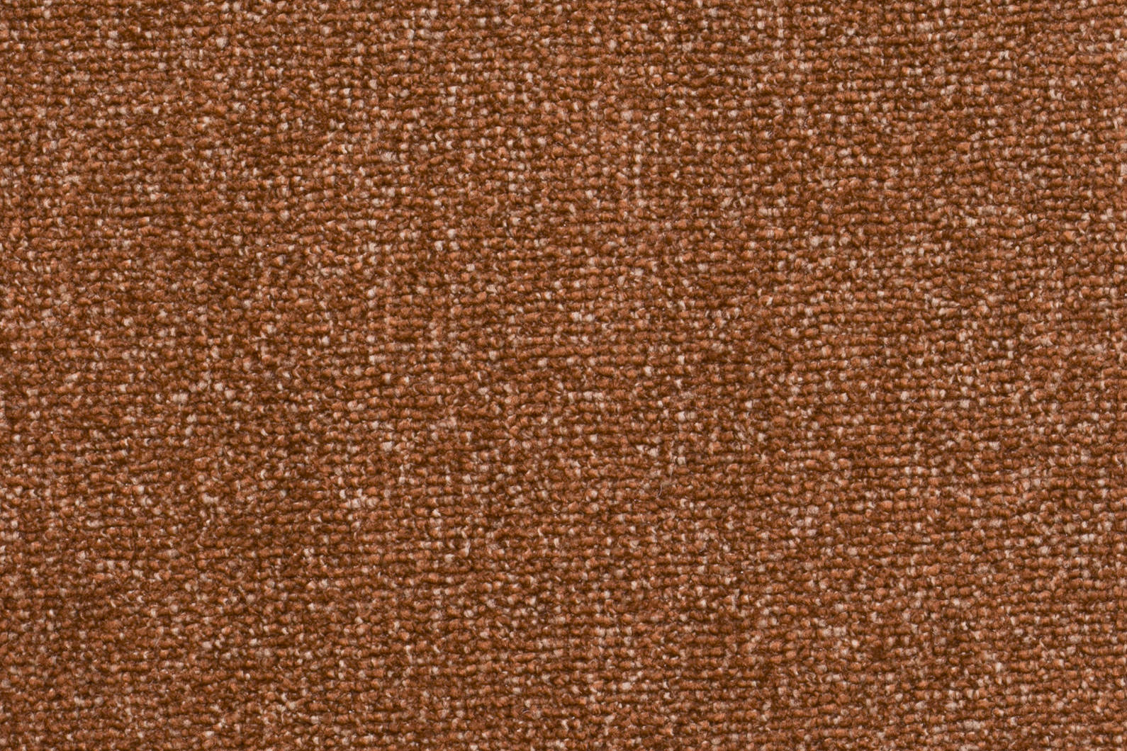 Corina Teppichboden Farbe 65