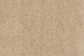 Corina Teppichboden Farbe 33