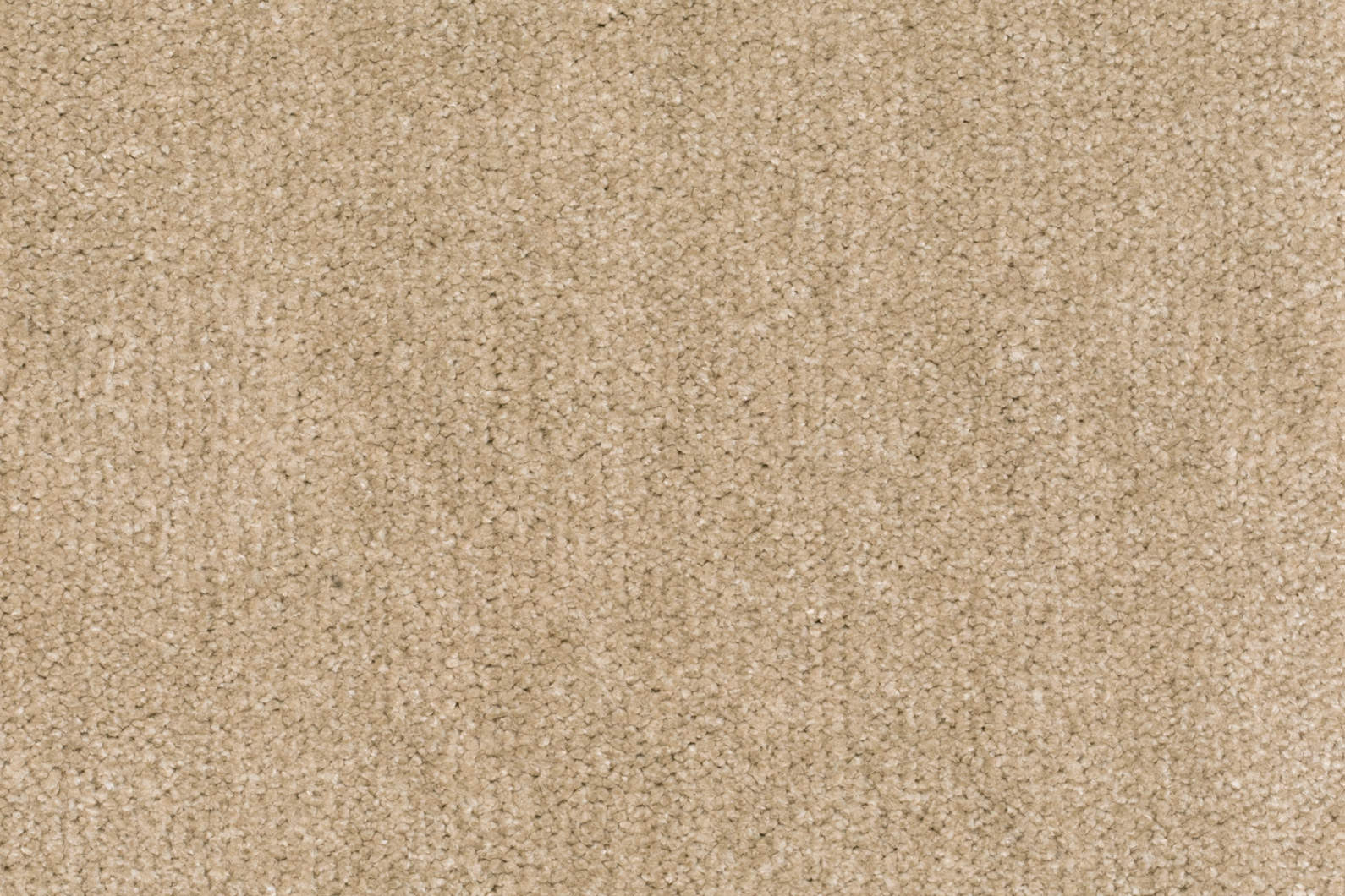 Corina Teppichboden Farbe 33