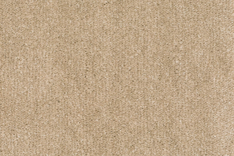 Corina Teppichboden Farbe 33