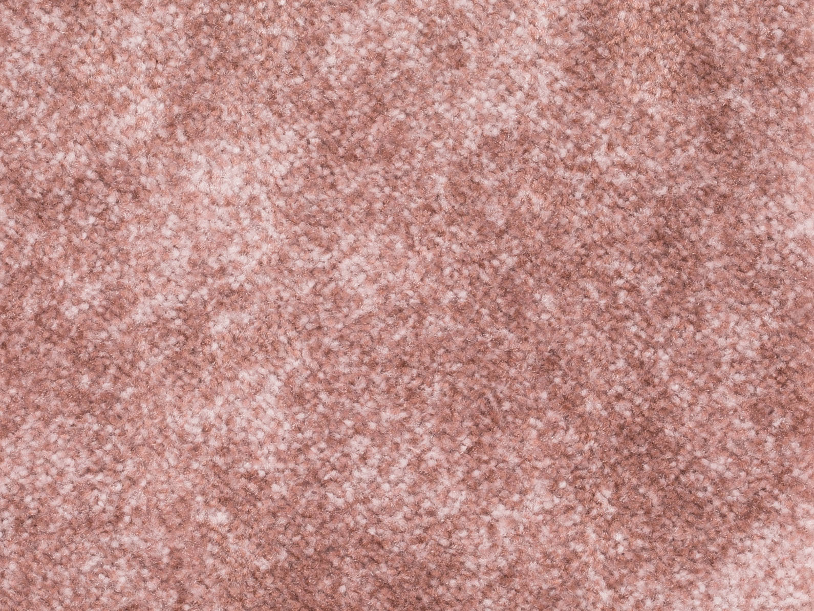 Coralia Teppichboden Farbe 60