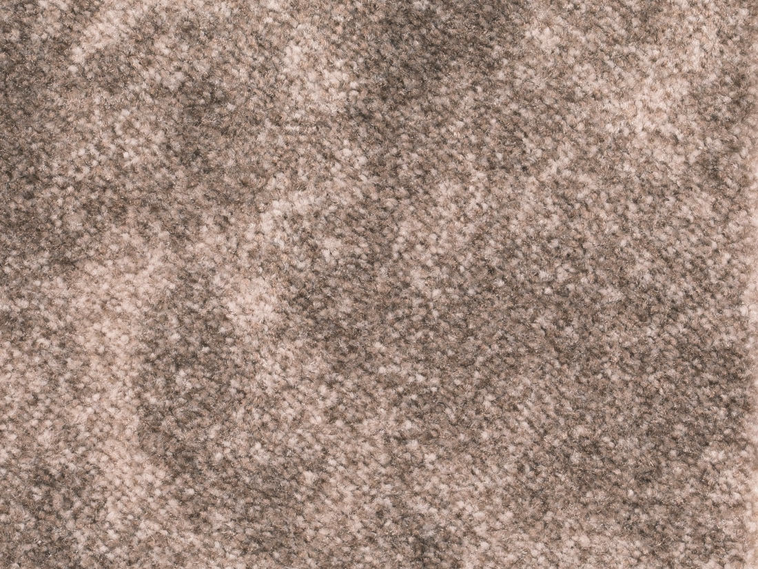 Coralia Teppichboden Farbe 40