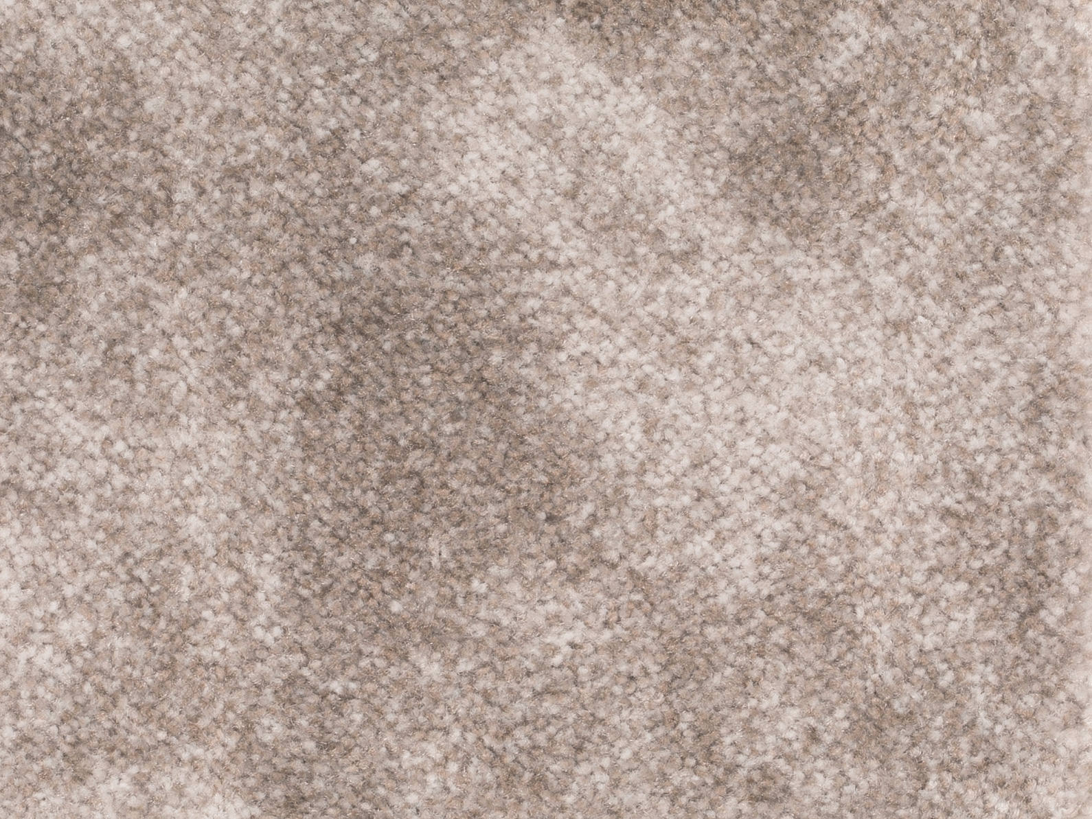 Coralia Teppichboden Farbe 39