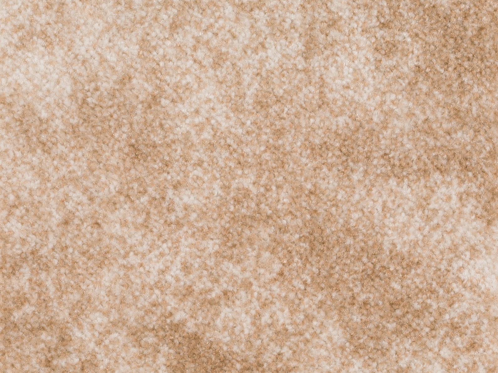 Coralia Teppichboden Farbe 33