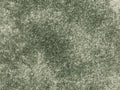Coralia Teppichboden Farbe 24