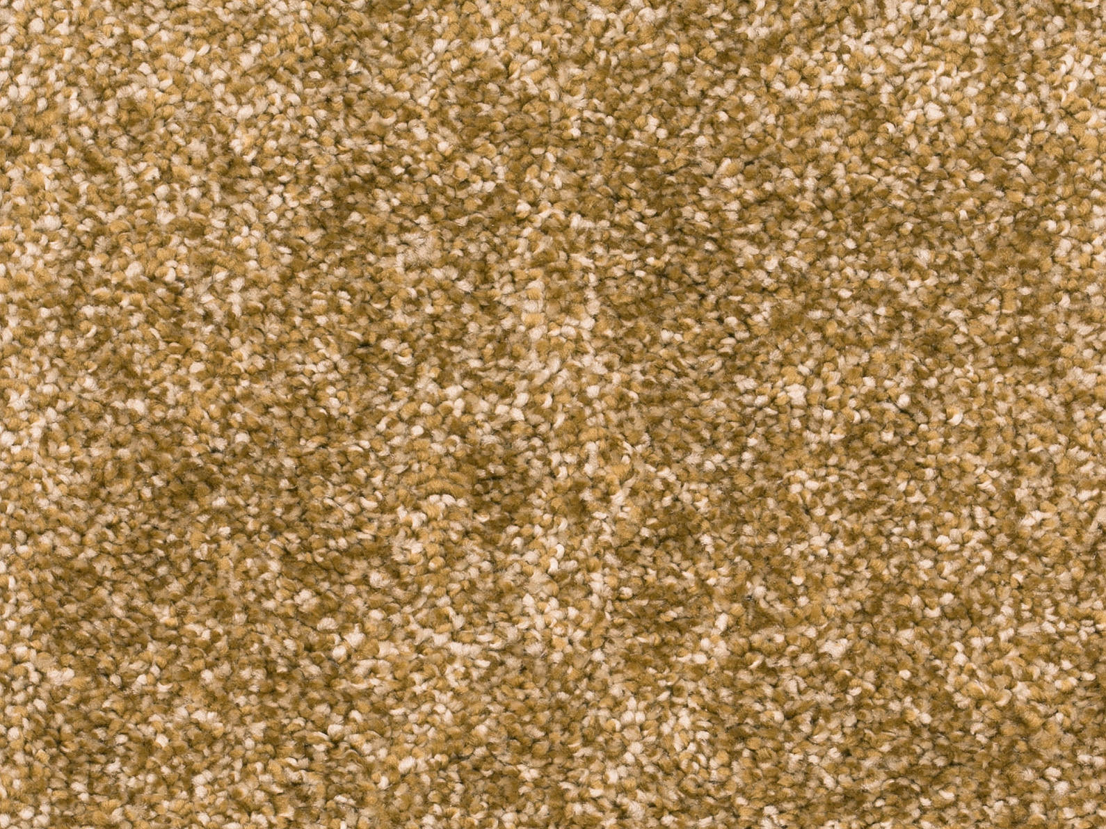 Kerova Teppichboden Farbe 54