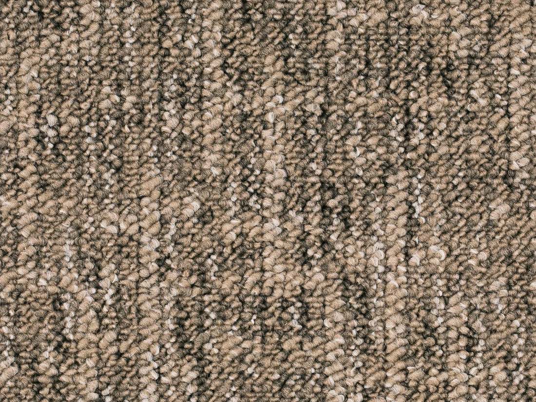 Altessa Teppichboden Farbe 91
