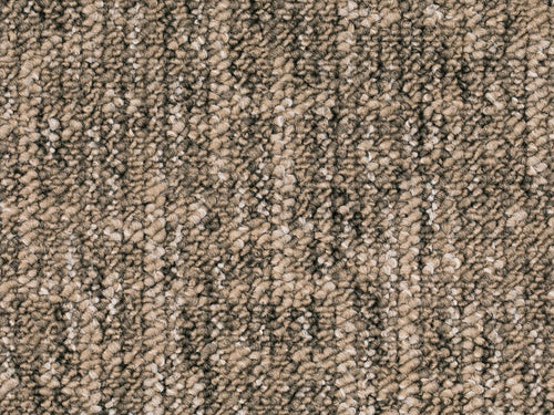 Altessa Teppichboden Farbe 91