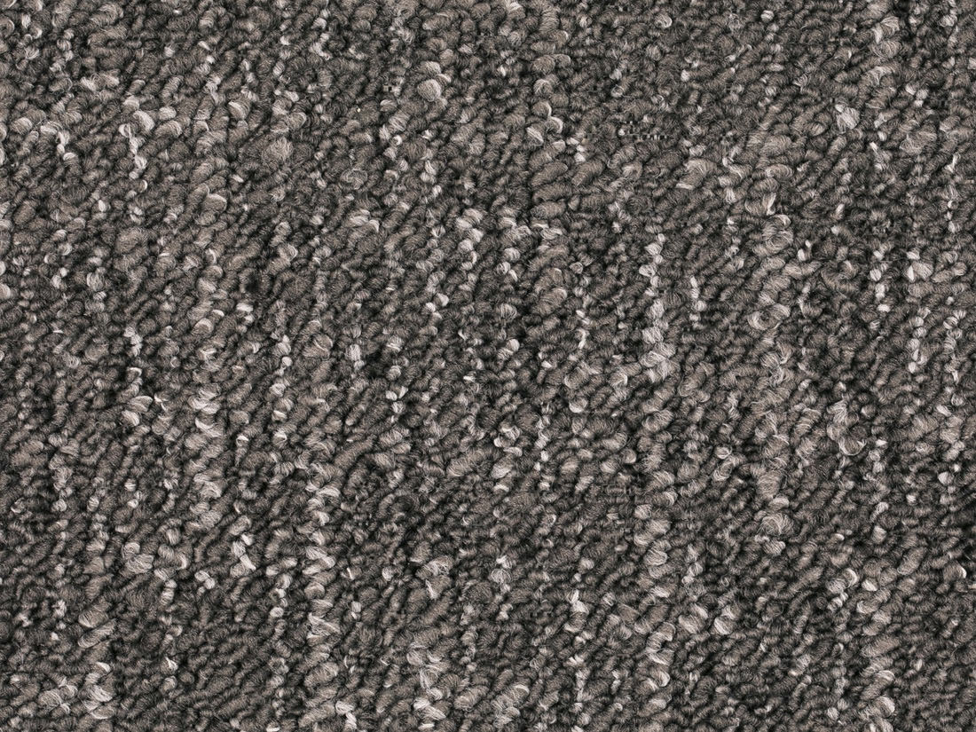Altessa Teppichboden Farbe 77