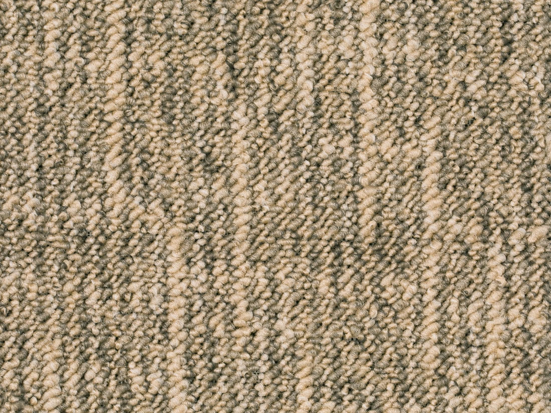 Altessa Teppichboden Farbe 63