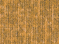 Altessa Teppichboden Farbe 22