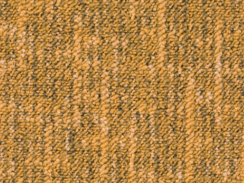 Altessa Teppichboden Farbe 22