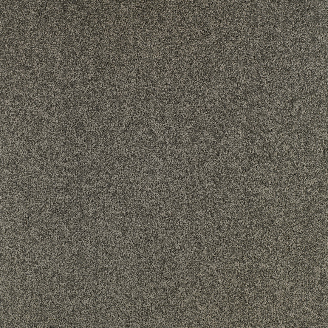 Glorena Teppichfliese 50x50cm, Grau Dunkel (960)
