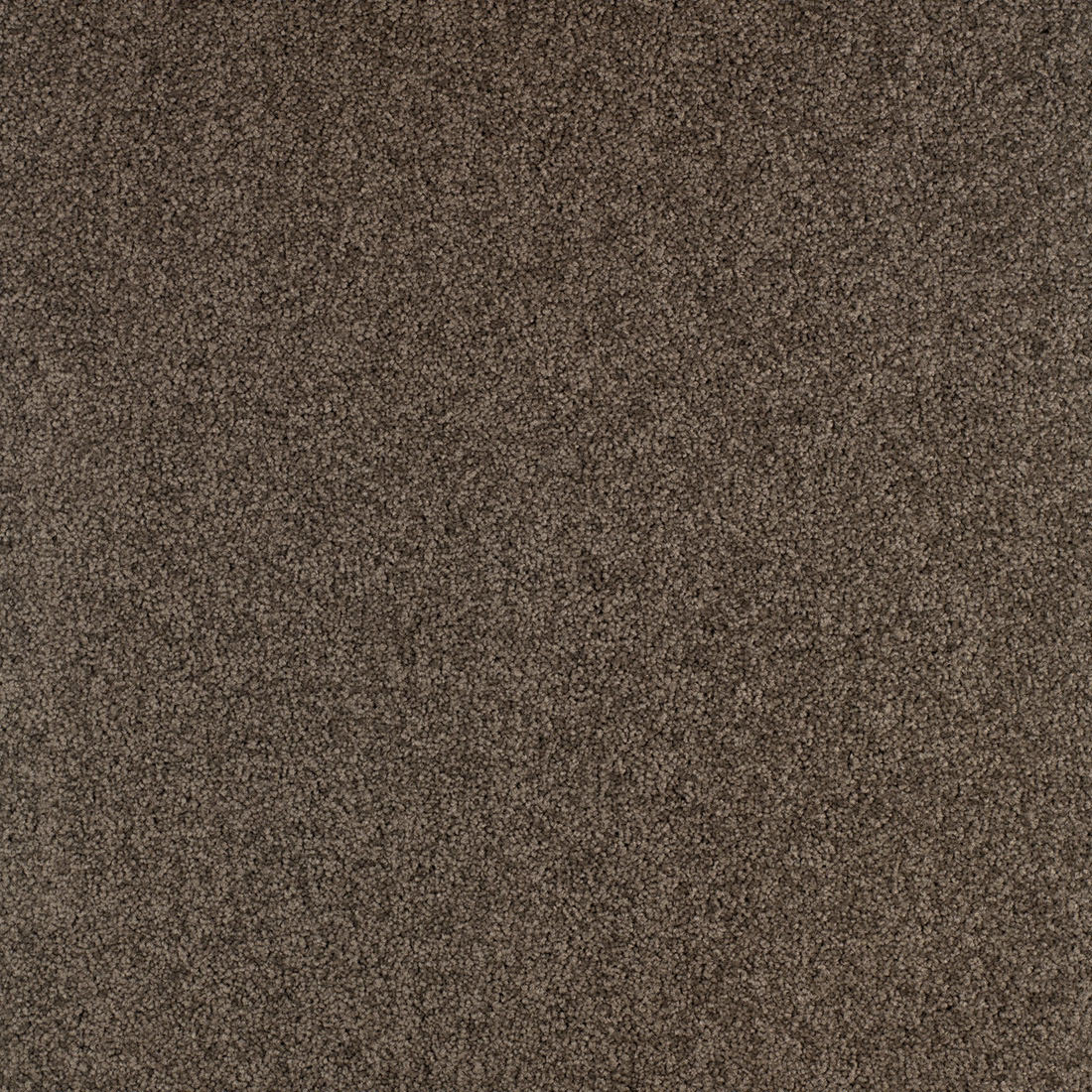 Glorena Teppichfliese 50x50cm, Taupe Dunkel Dunkler (770)