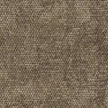 Taupe Dunkel Dunkler
