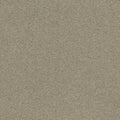Taupe Mittel