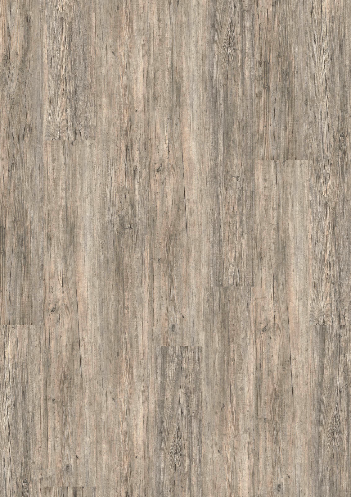 Dornova Treibholz Grau – Klebevinyl 2,5mm
