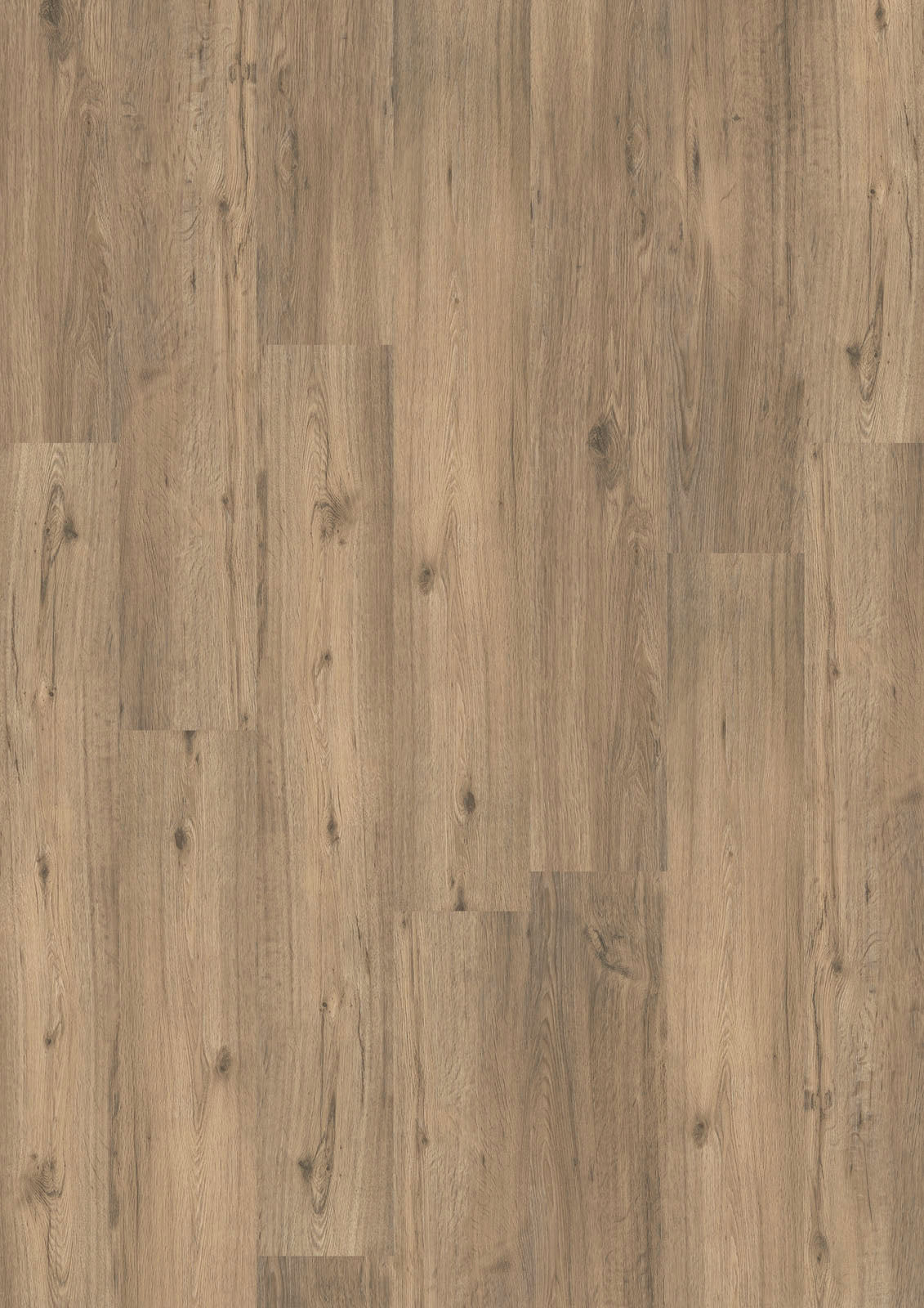 Dornova Eiche Frühling – Klebevinyl 2,5mm