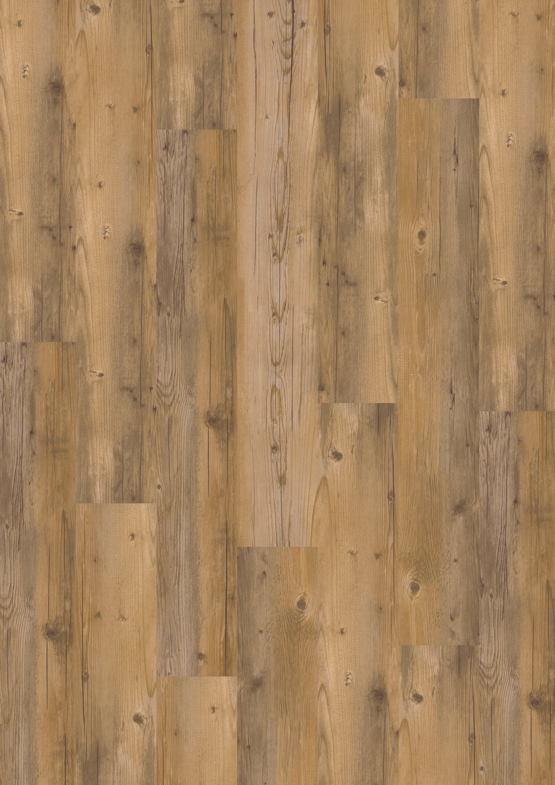Bergen Kiefer Blond Klickvinyl