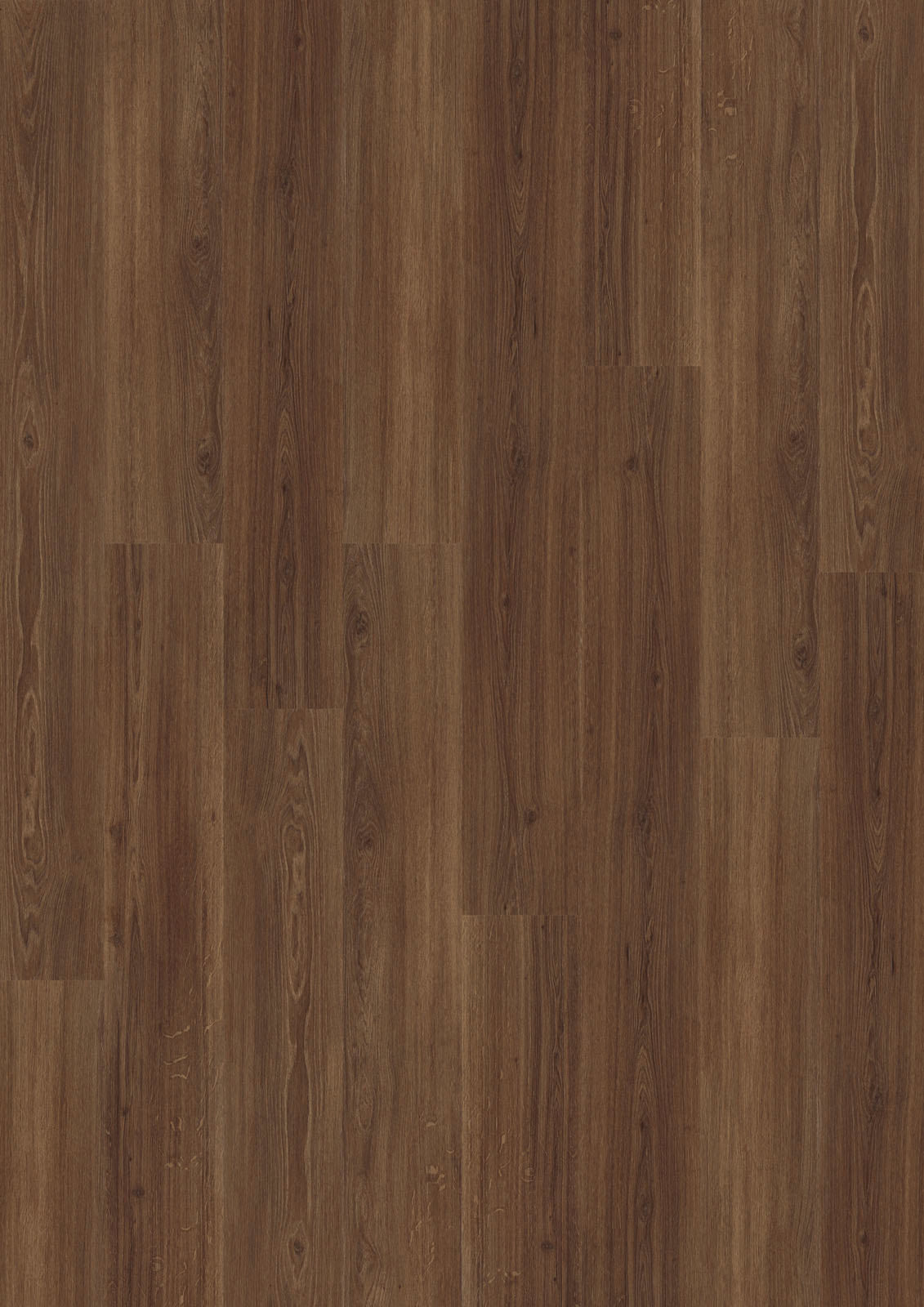 Dornova Eiche Intensiv Dunkel – Klebevinyl 2,5mm