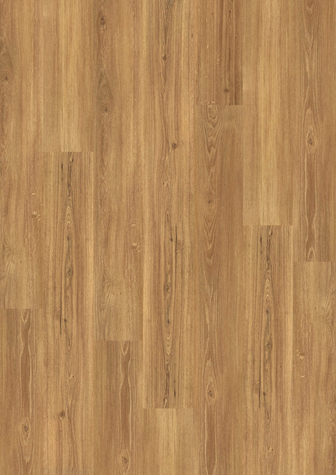 Bergen Eiche Natur Klickvinyl