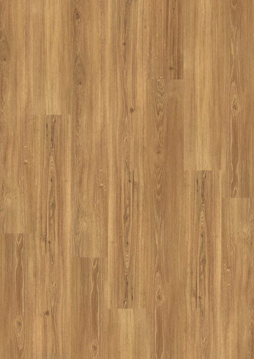Bergen Eiche Natur Klickvinyl