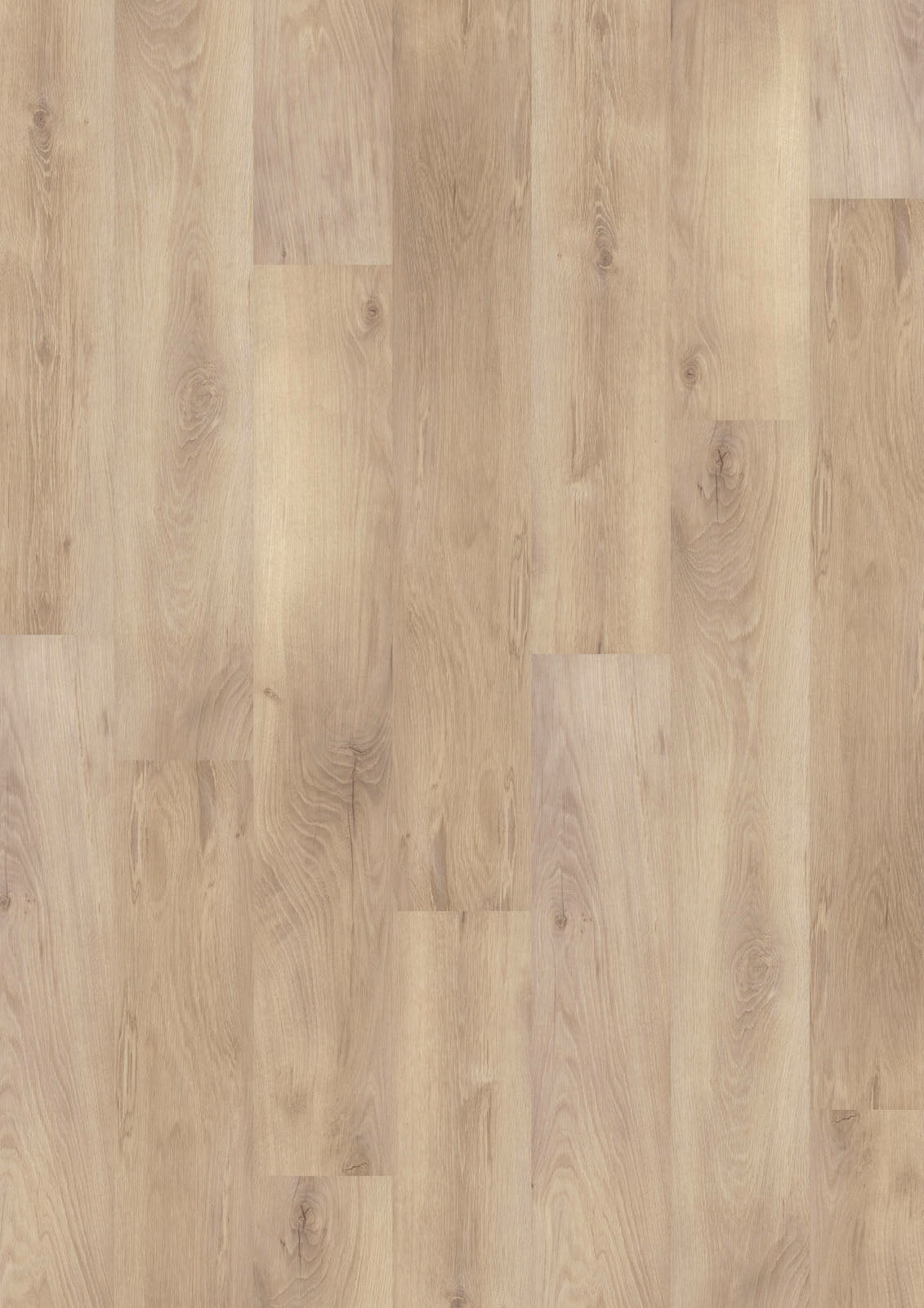 Dornova Eiche Schattengrau – Klebevinyl 2,5mm