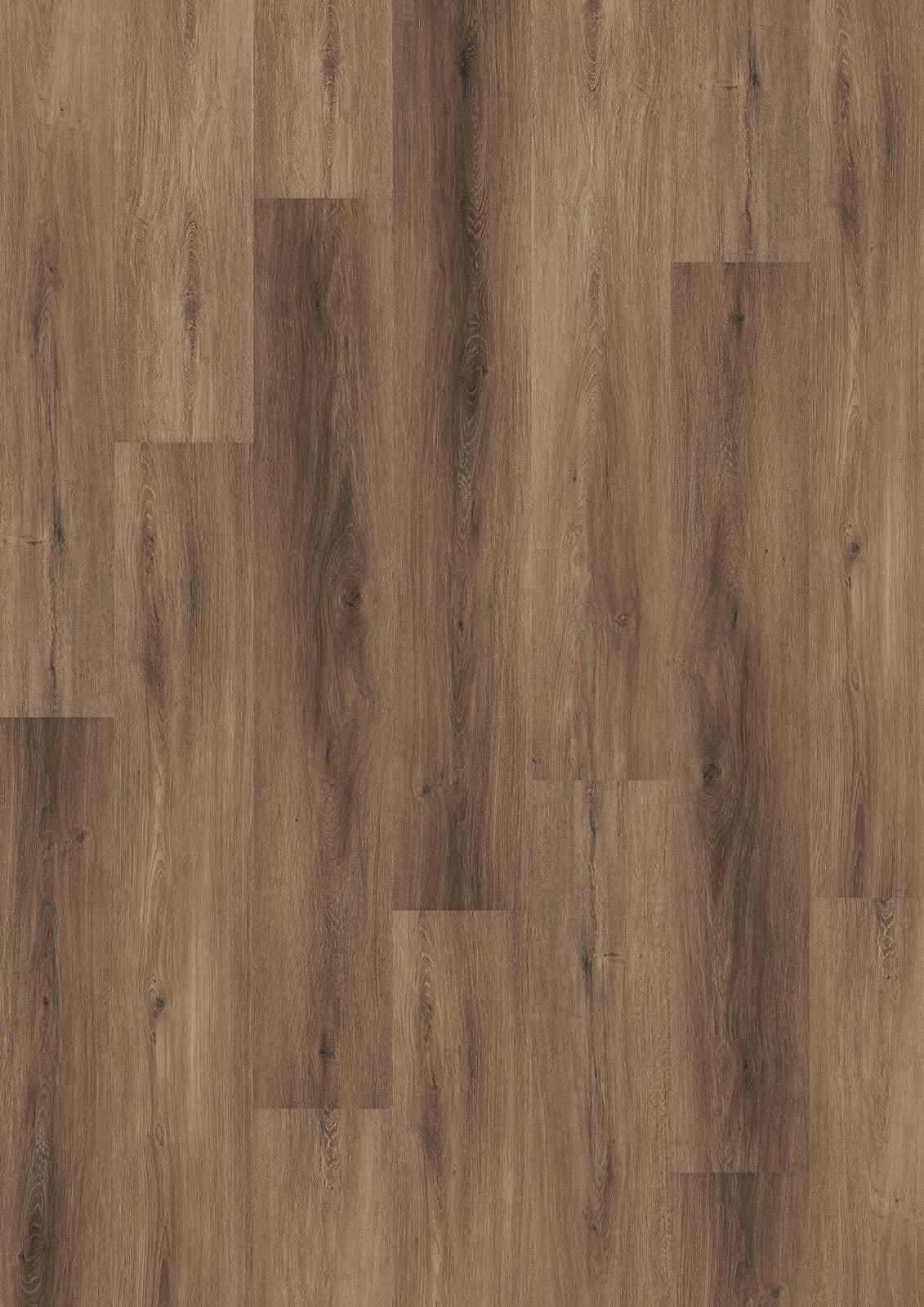 Dornova Eiche Zimt – Klebevinyl 2,5mm
