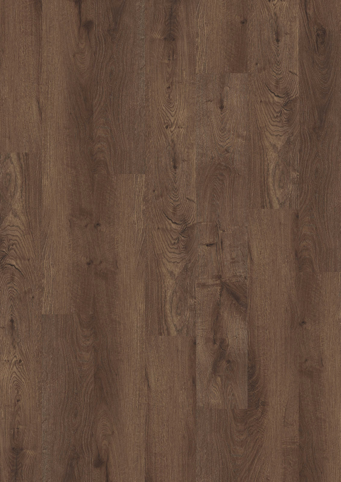 Dornova Kastanie Warm – Klebevinyl 2,5mm