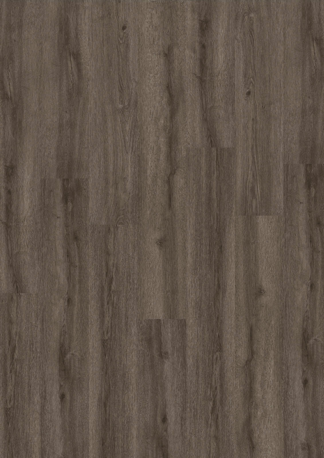 Dornova Eiche Verwittert Grau – Klebevinyl 2,5mm