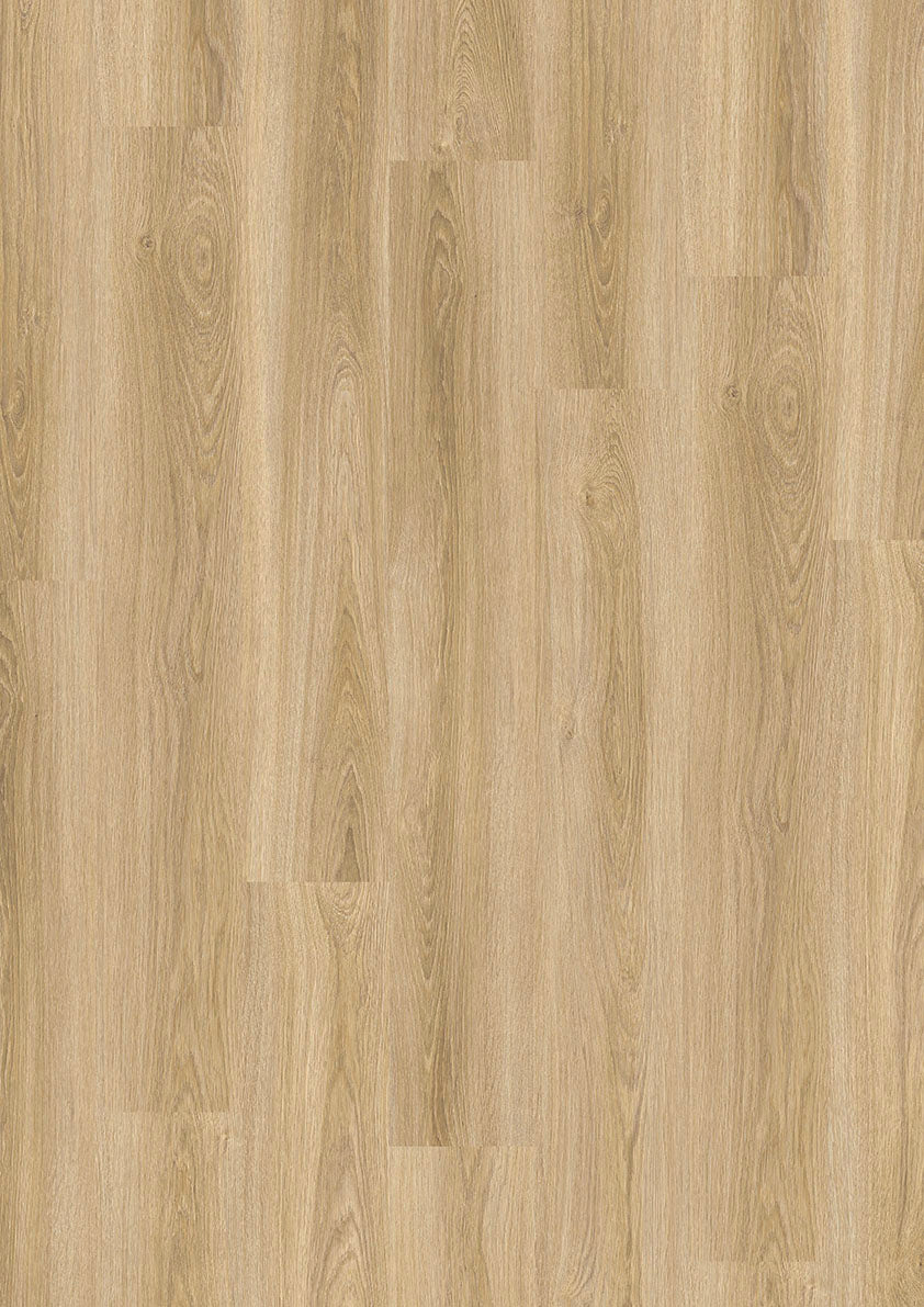 Verona Eiche Frost Klickvinyl