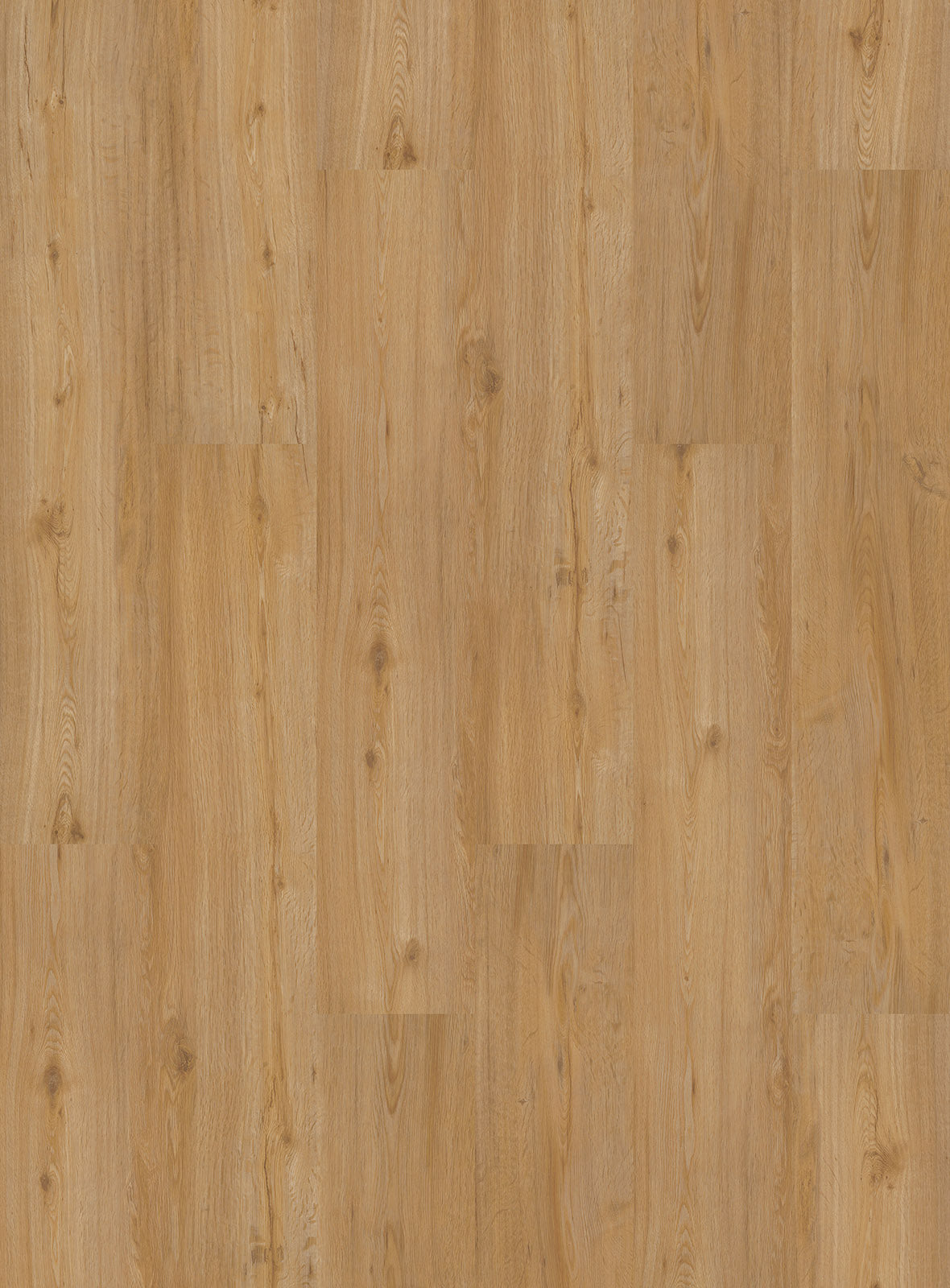 Porto Feldeiche Natur Klickvinyl