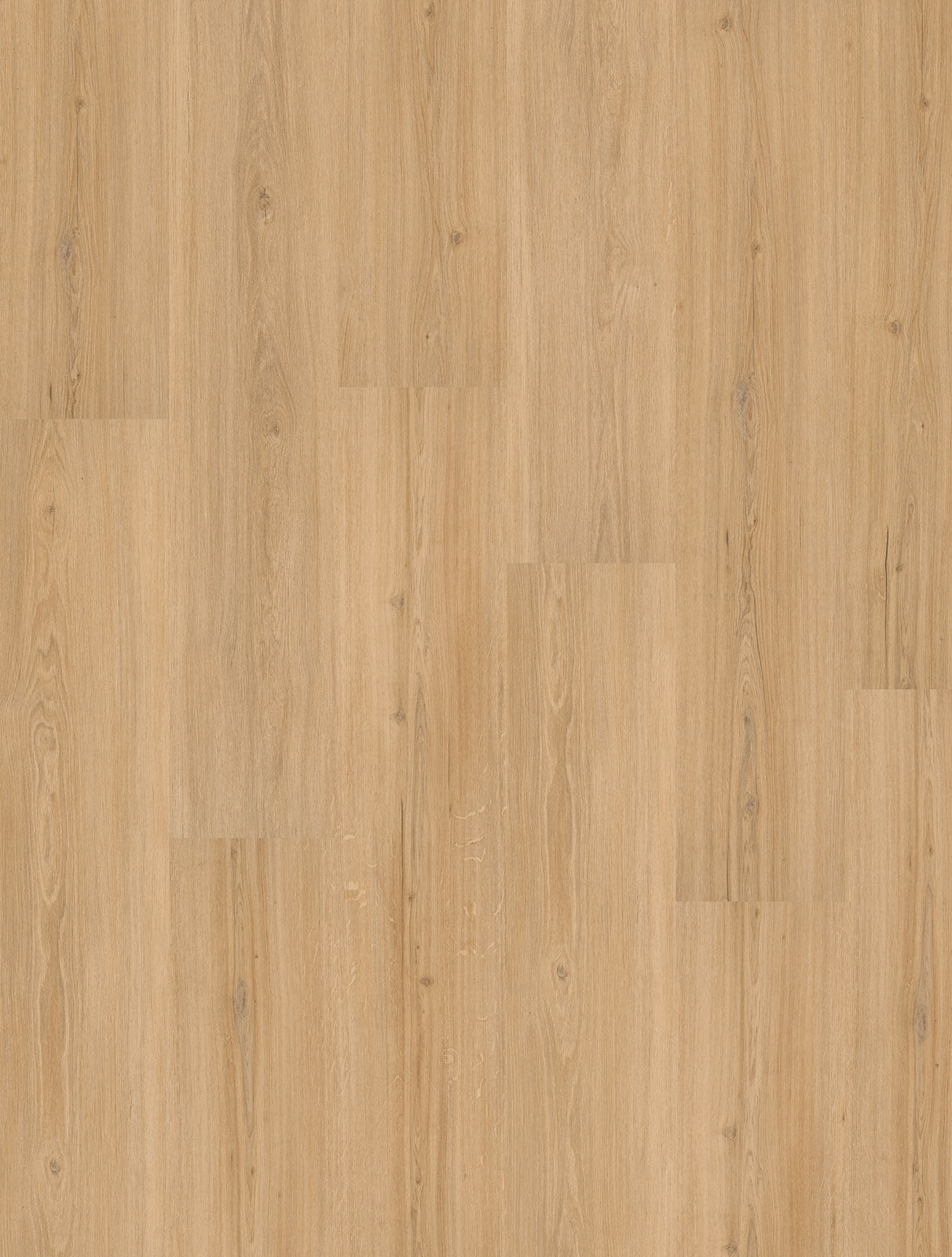 Porto Risseiche Klickvinyl