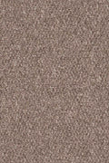 Beige Mittel (704)