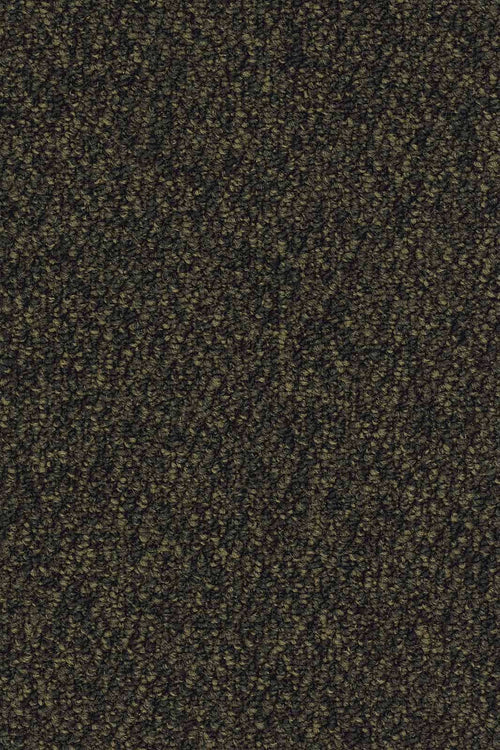 Corvano Teppichboden Grün Dunkel (405)