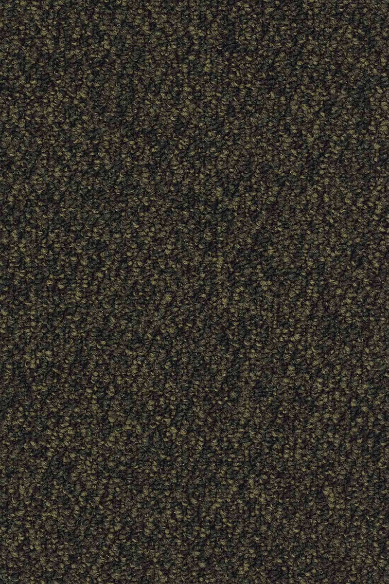 Corvano Teppichboden Grün Dunkel (405)