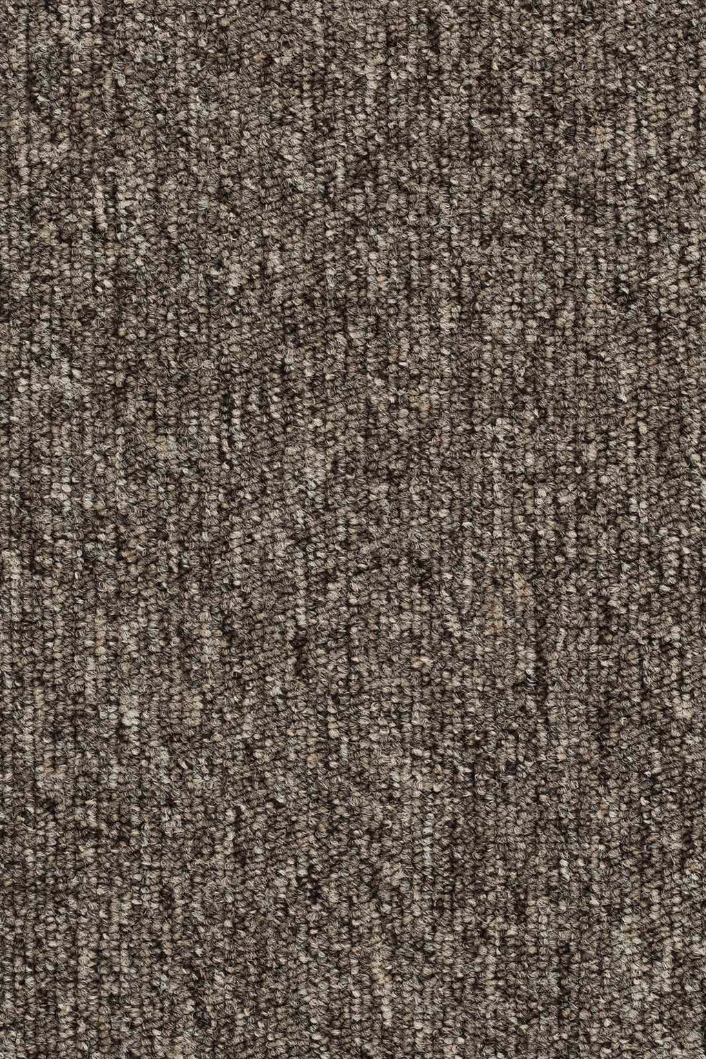 Maidena Teppichfliese 50x50cm, Grau Dunkel Warm (040)