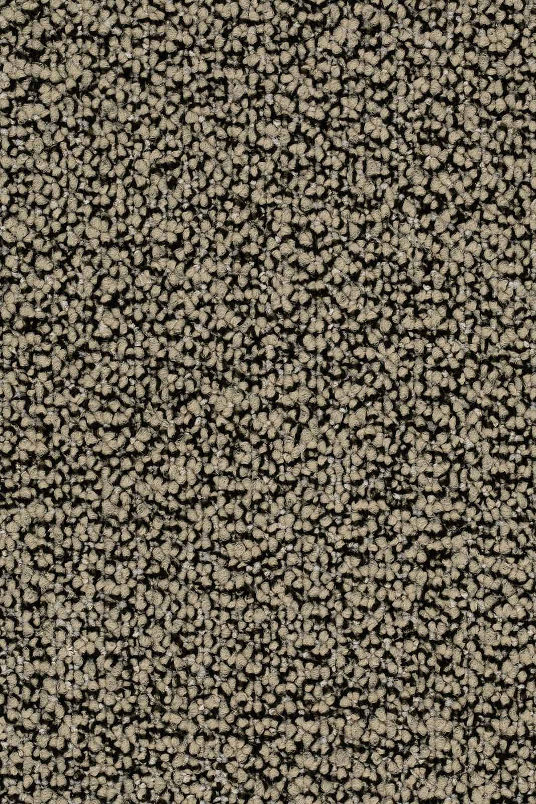 Lisarda Teppichfliese 50x50cm, Taupe Dunkel Mittel (876)
