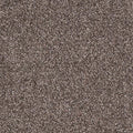 Grau Dunkel Warm