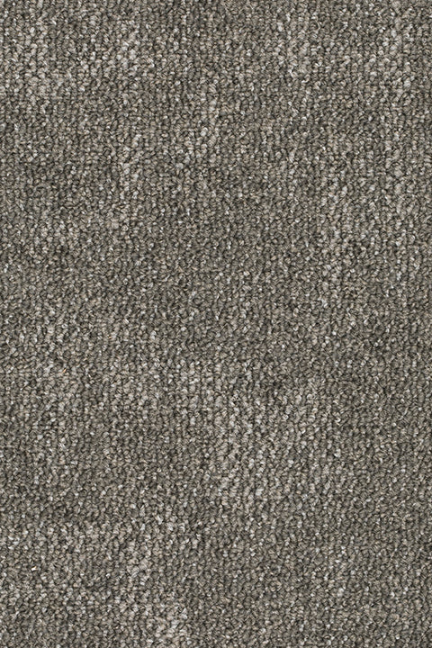 Pathora Teppichfliese 50x50cm, Grau Dunkel Mittel (073)