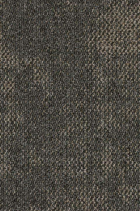 Pathora Teppichfliese 50x50cm, Grau Sehr Dunkel Warm (092)