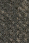 Pathora Teppichfliese 50x50cm, Grau Sehr Dunkel Warm (092)