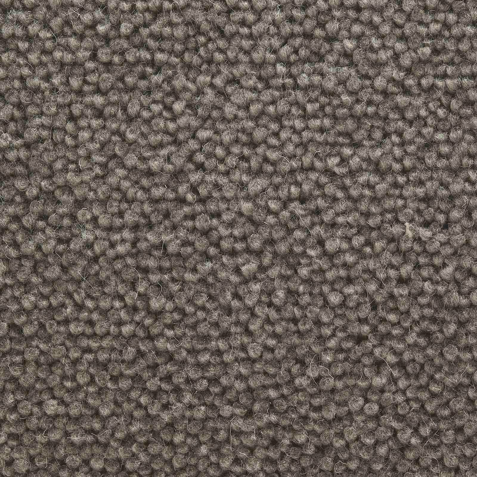 Regalia Teppichboden Farbe 525