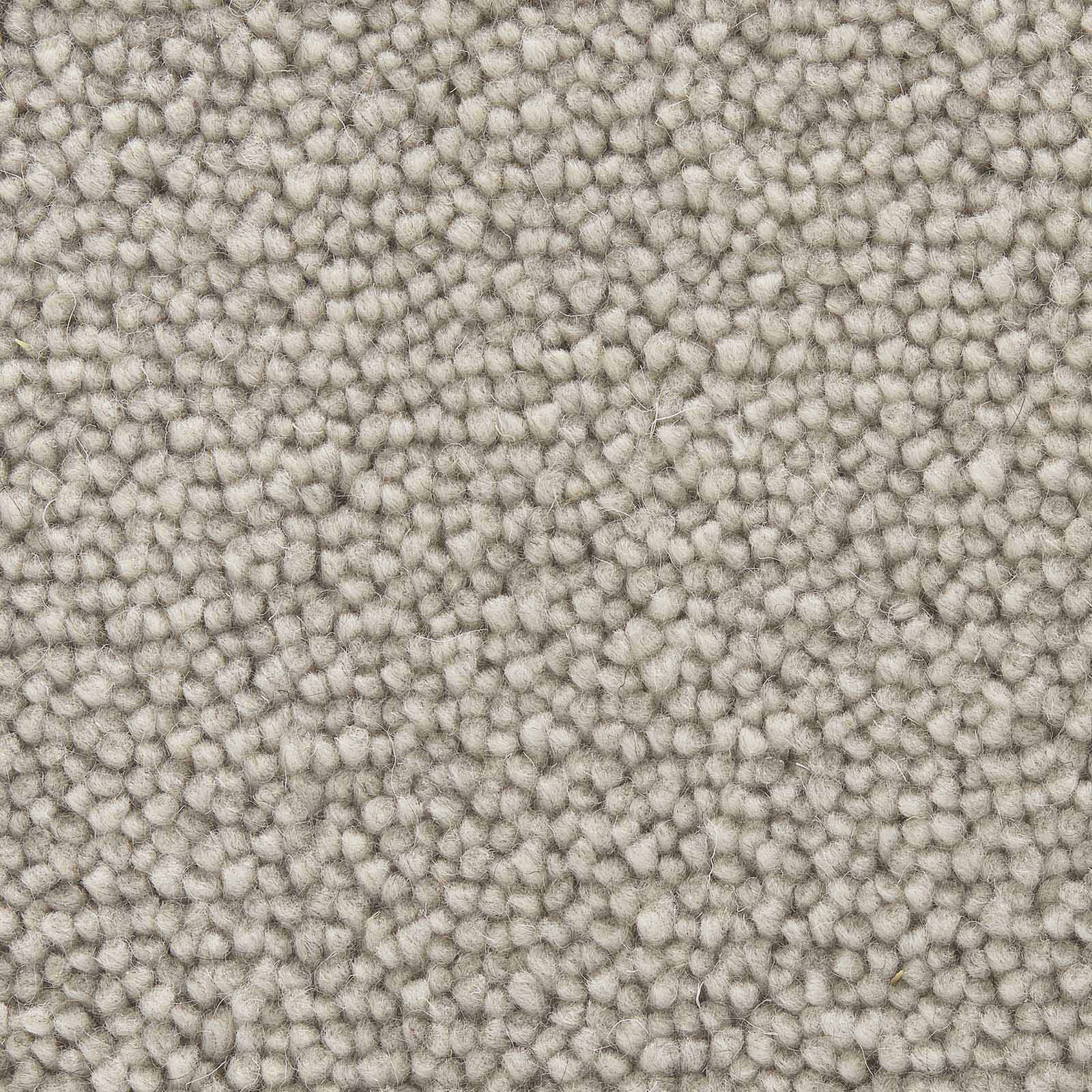 Regalia Teppichboden Farbe 523