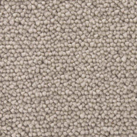 Regalia Teppichboden Farbe 523