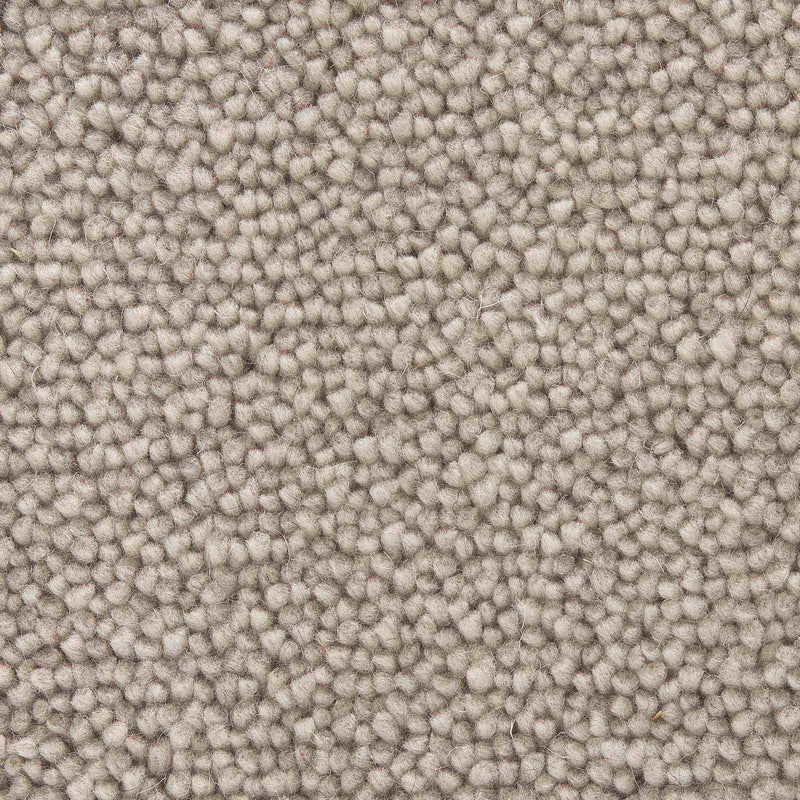 Regalia Teppichboden Farbe 523