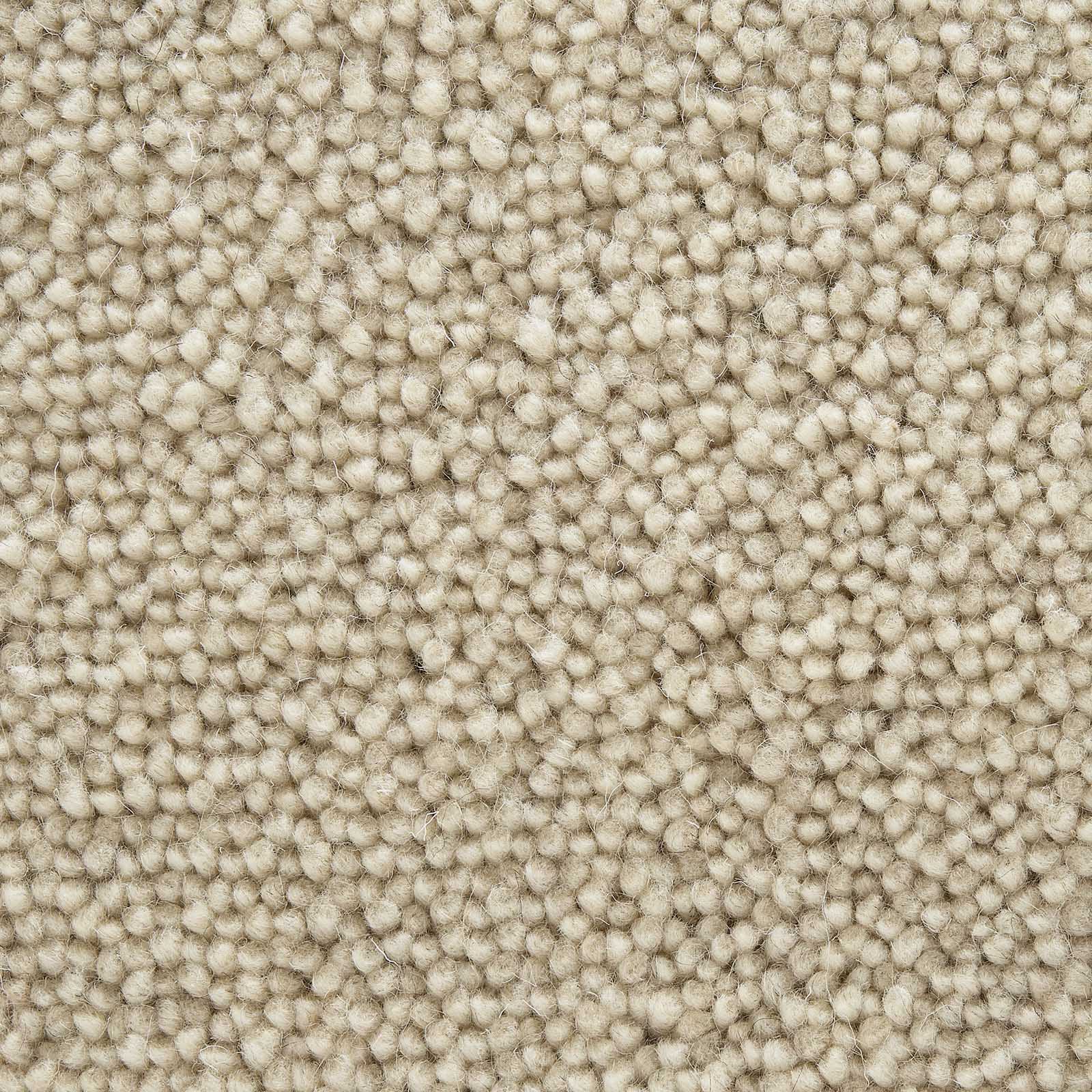 Regalia Teppichboden Farbe 513
