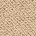 Rubira Teppichboden Farbe 126